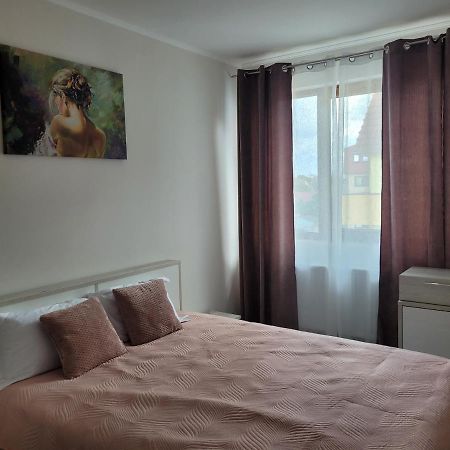 Apartament Amparo Satu Mare Zewnętrze zdjęcie