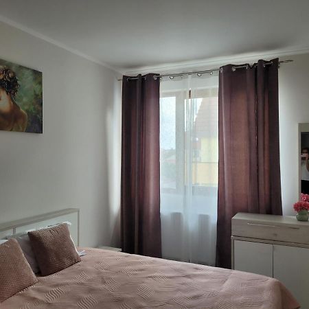 Apartament Amparo Satu Mare Zewnętrze zdjęcie
