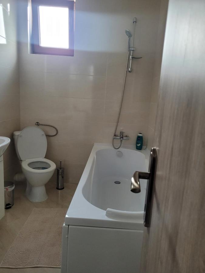 Apartament Amparo Satu Mare Zewnętrze zdjęcie