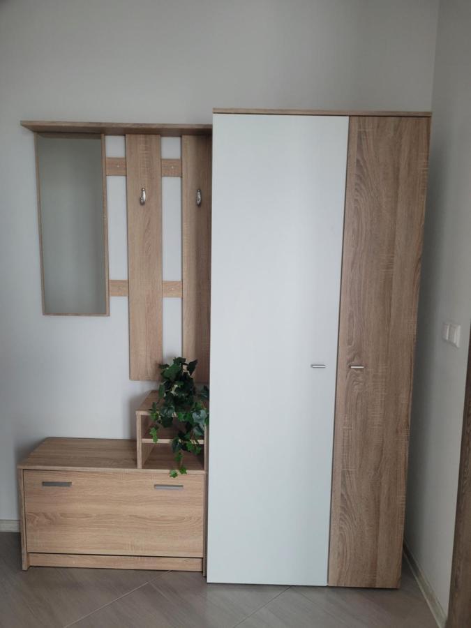 Apartament Amparo Satu Mare Zewnętrze zdjęcie