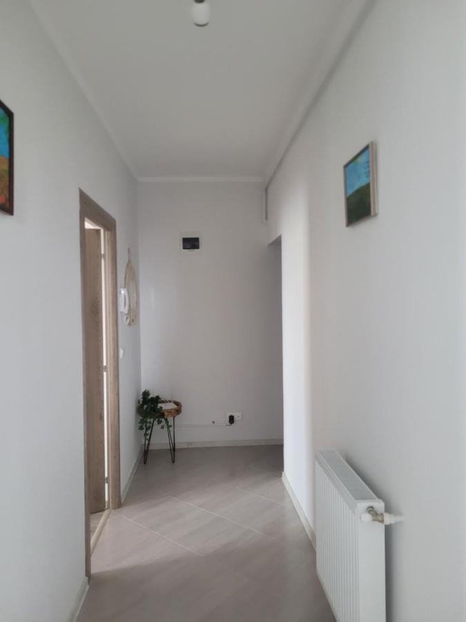 Apartament Amparo Satu Mare Zewnętrze zdjęcie