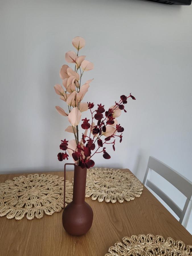 Apartament Amparo Satu Mare Zewnętrze zdjęcie