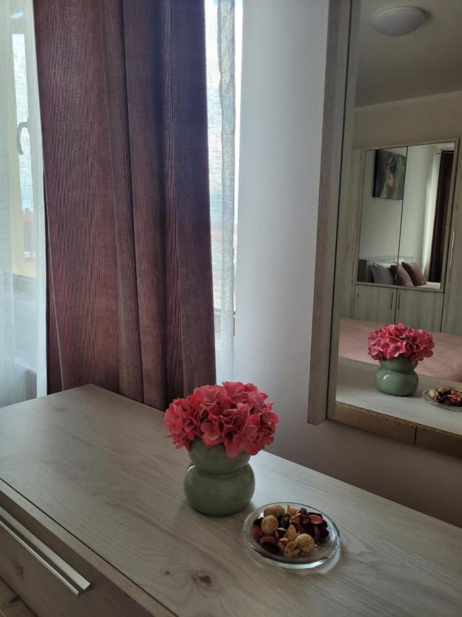 Apartament Amparo Satu Mare Zewnętrze zdjęcie