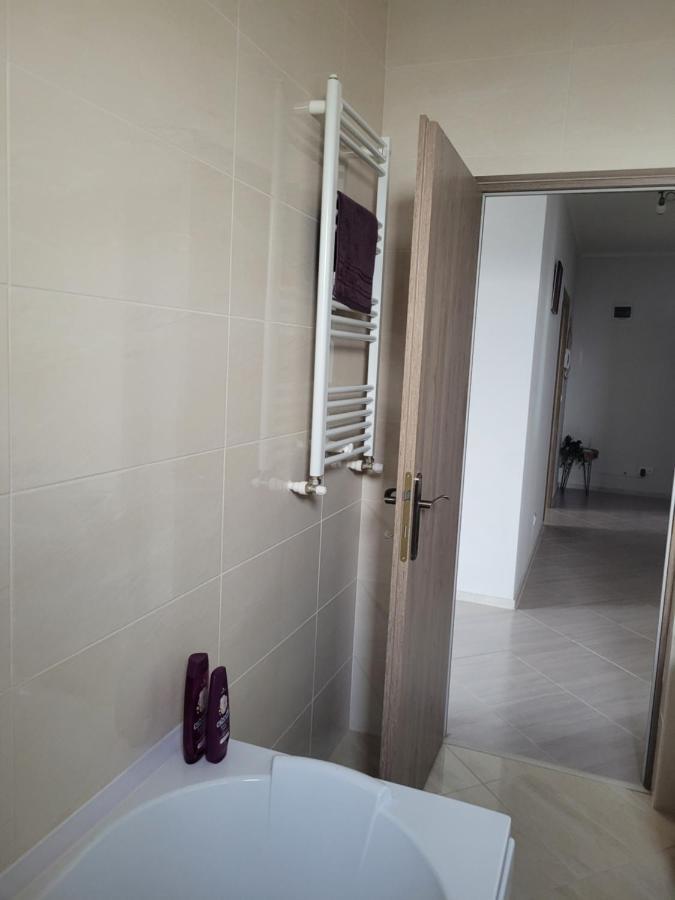 Apartament Amparo Satu Mare Zewnętrze zdjęcie