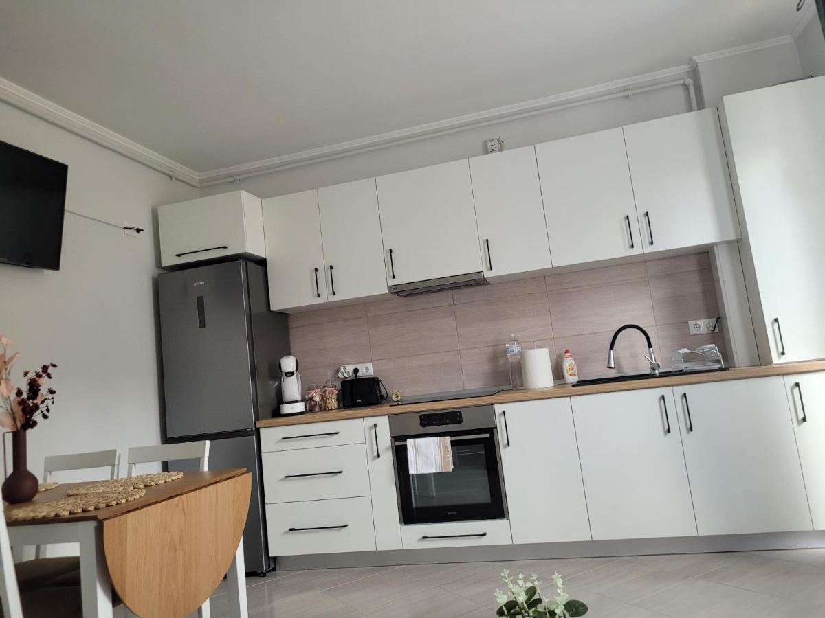 Apartament Amparo Satu Mare Zewnętrze zdjęcie