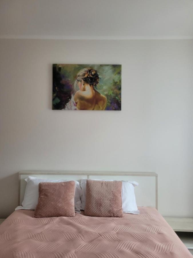 Apartament Amparo Satu Mare Zewnętrze zdjęcie