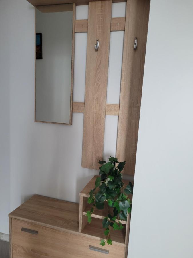 Apartament Amparo Satu Mare Zewnętrze zdjęcie